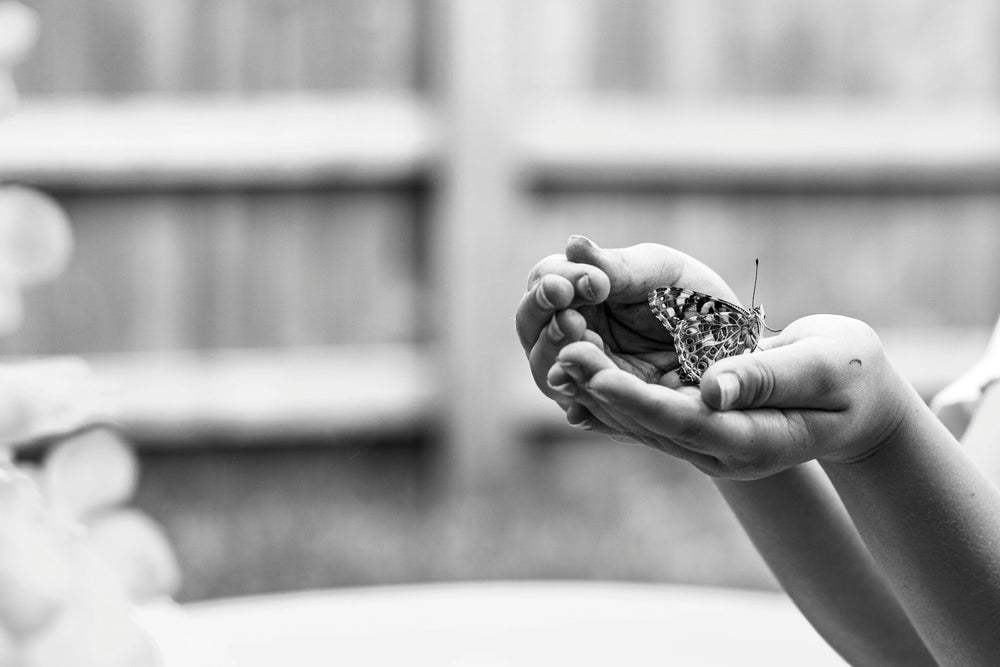 Butterfly on a person's hand with a blurred background